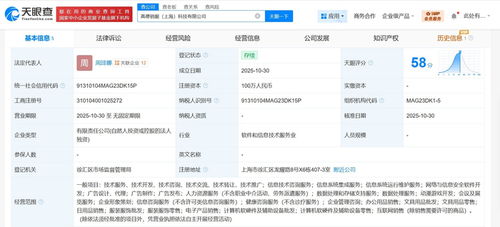 高德在上海成立銷服科技公司，注冊(cè)資本100萬(wàn)，聚焦信息技術(shù)咨詢服務(wù)